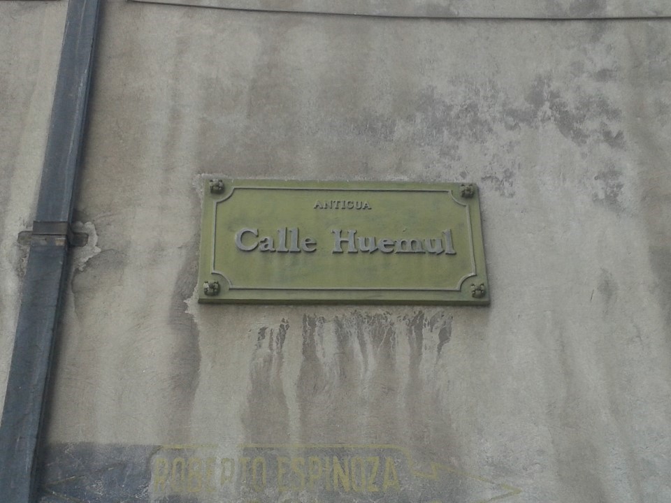 Calle Huemul - Roberto Espinoza