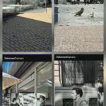 Un nuevo largo viaje