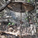 Parque Tricao: una escapada inolvidable entre aves, humedales y naturaleza en nuestro aniversario de matrimonio